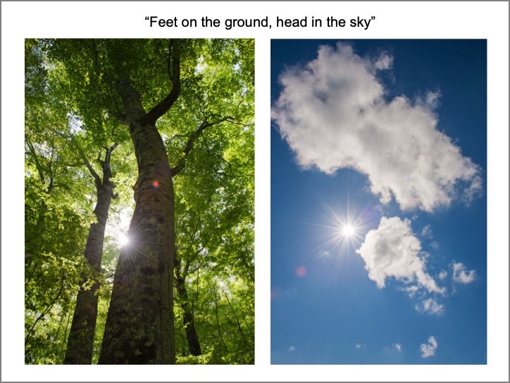 Slide04